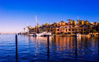 The essential guide to living in Sotogrande